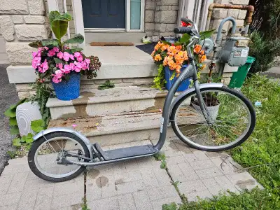 Hi, I am selling my scooter; I used it maybe three times. Really good conditions