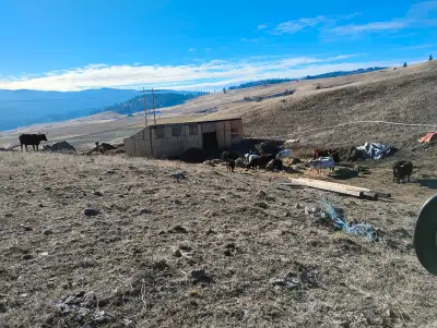 RV pad,power and water,no septic,vac truck has farm on route,pets must be chicken,turkey and cow fri...
