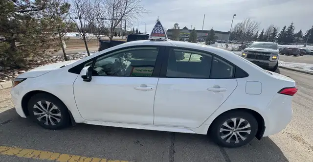 Driving lessons451077294827120642
