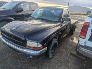 1999 Dodge Dakota RT