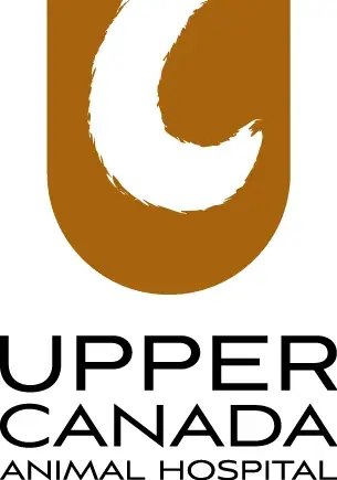 Registered Veterinary Technician, View more