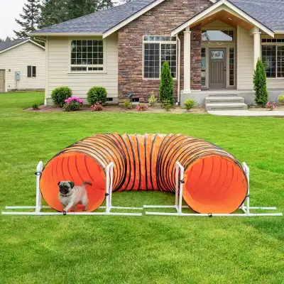 Dog Tunnel, 13 Foot Long, 24" Open Pet Agility Equipment with 2 Support Brackets, Carrying Bag, Oran...