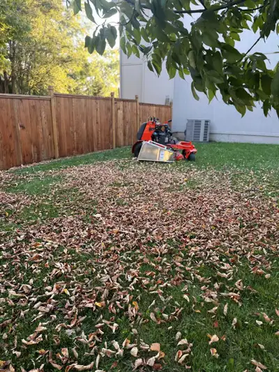 Fall Cleanups , View more