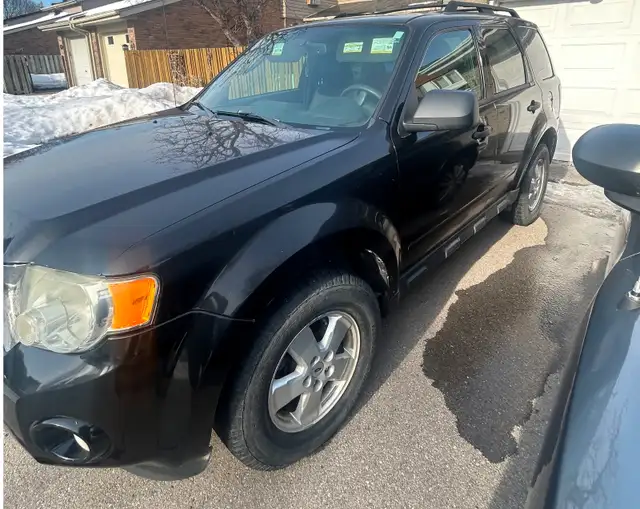 Ford Escape540714153270333442