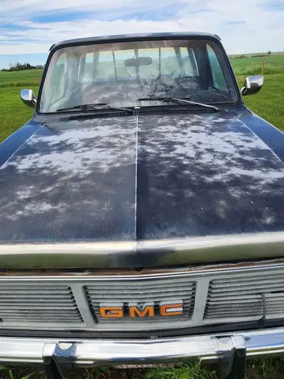 1986 GMC SERRIA has been sitting 20 plus years. Has been on my property too long was here when we bo...