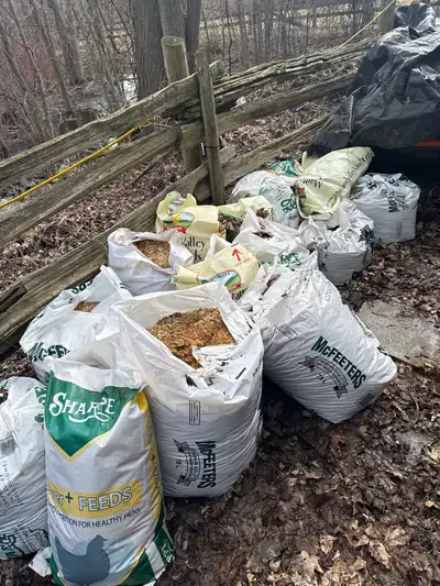 chicken coop clean out, View more