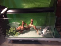 GECKO GLASS CAGE & FISH BOWL+