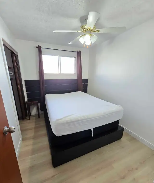 Room for rent in Bowness  in Room Rentals & Roommates in Calgary - Image 2