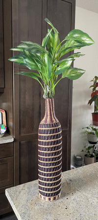 vase and ashland plant