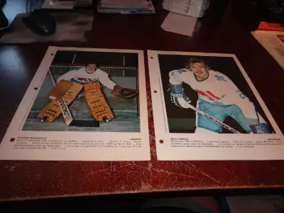 Hockey colour photo picture derniere heure quebec nordiques nhl, View more
