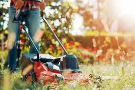 seasonal grass contract , View more