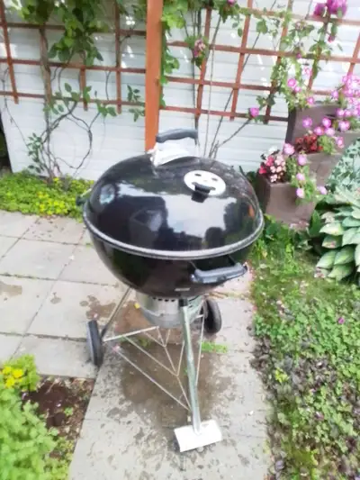 Barbecue, View more