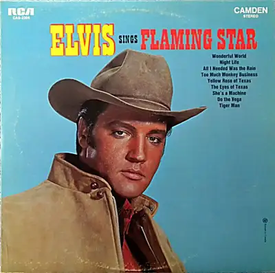 Elvis Presley  --  Elvis Sings "Flaming Star"  * VINYLE RECORd, View more