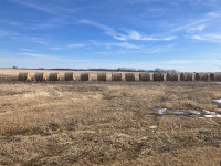 Round Hay for sale