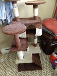 Cat tree and bed.