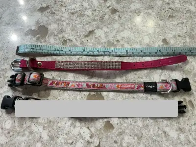 Collier pour chien/Dog Collar, View more