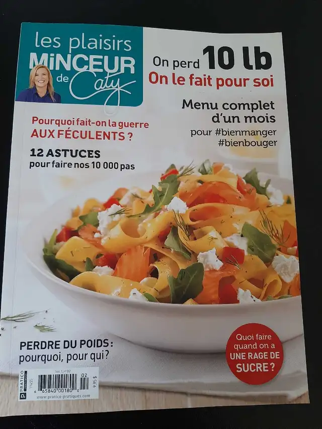 Magazine Les Plaisirs Minceur de Caty in Magazines in Longueuil / South Shore - Image 2