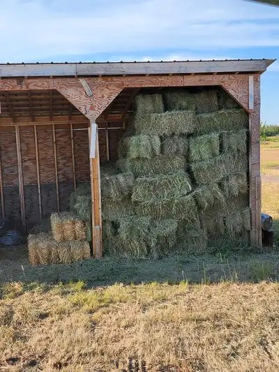 Last year hay for sale!! No rain !!