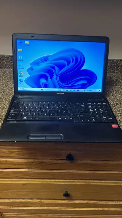 Laptop Toshiba Satellite 15.6" C655D, View more