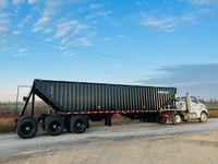 All New 2024 Haul All Tri axle Grain trailer, 2 to choose from!!
