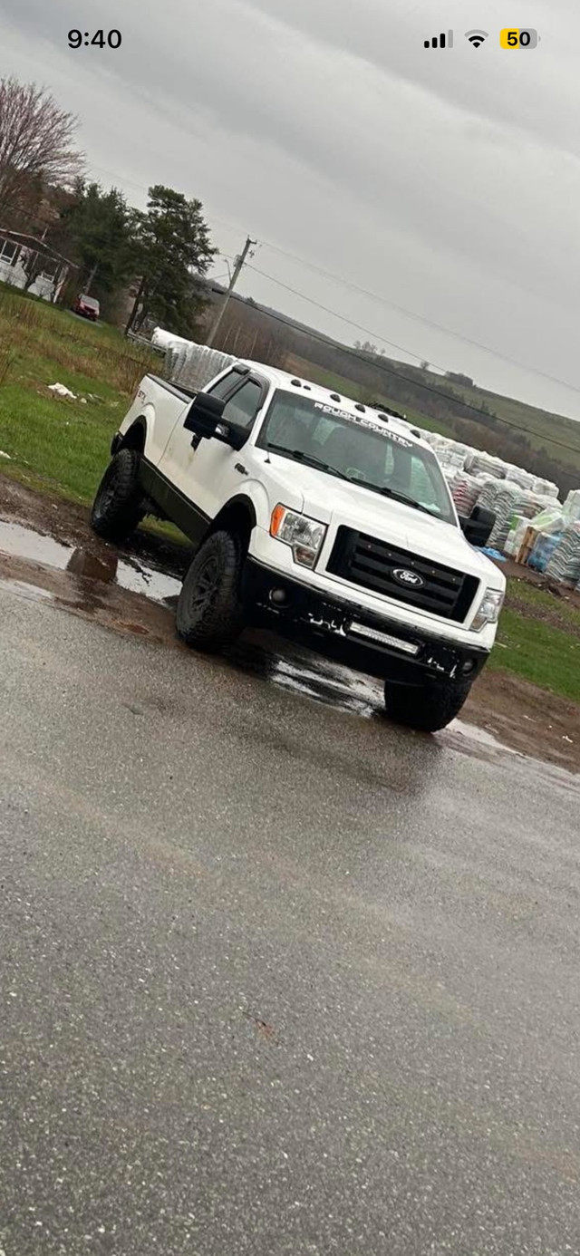2012 f150  in Cars & Trucks in Saint John