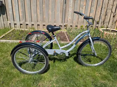 Adult Size Tricycle - Huffy, View more