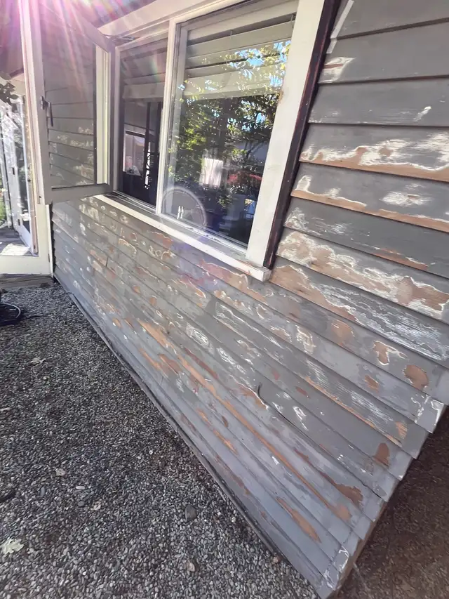 painting services  in Painters & Painting in Victoria - Image 6