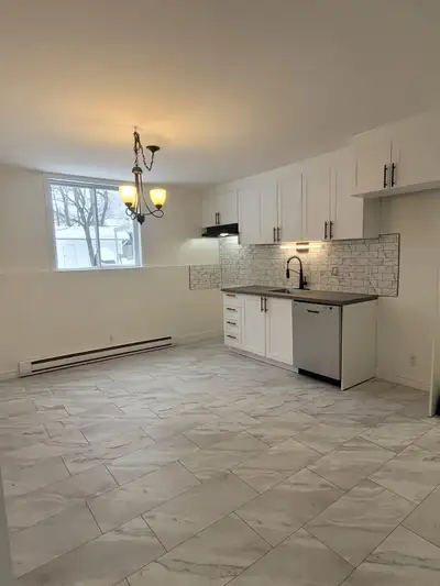 Beau grand 41/2 tout juste rénové dans un immeuble de 4 logements. Deux grandes chambres, espace lav...