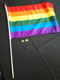 Rainbow Flag or 2 pins
