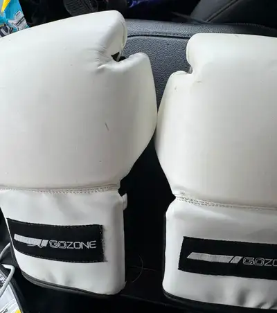 Go zone 14 oz boxing gloves, View more