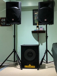 DJ powered Speakers 
