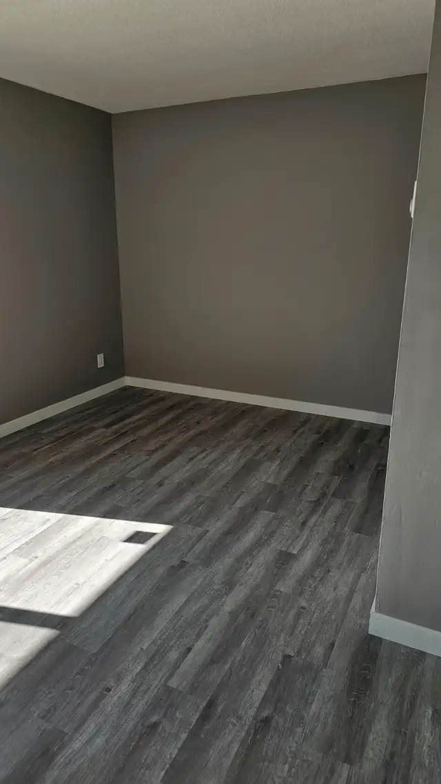 Newly renovated bachelor apartment for rent.  $1000.00 + hydro.63436972227459124