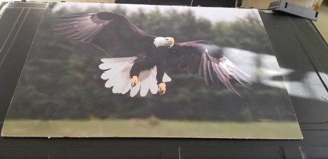 American Eagle poster in Arts & Collectibles in Oshawa / Durham Region - Image 2