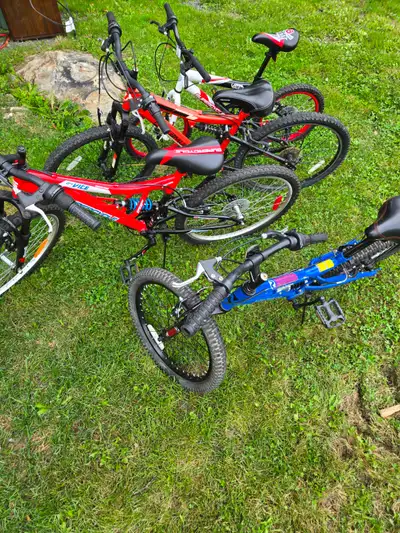 4 bikes, View more