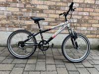 20” TECH TEAM kids bike