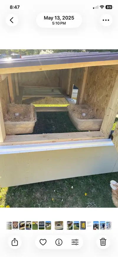 Chicken Tractor, View more