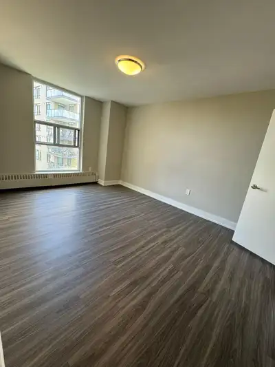 Room for rent!