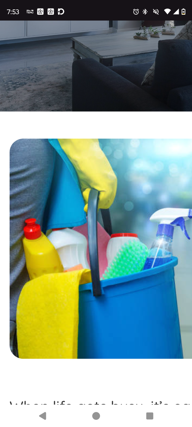 Cleaning services