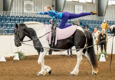 July 21-25 Vaulting Clinic & Show At Maple Rock Stables 9am-4pm Just North of Listowel A beautiful s...