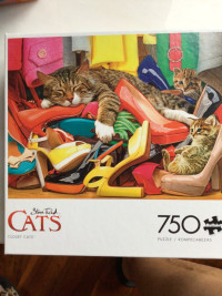 750 pc Puzzles, CLOSET CATS