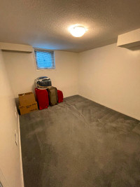1 bedroom in 2 bedroom basement available for sharing