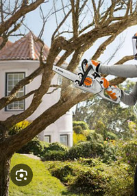 Small tree removal & window cleaning 
