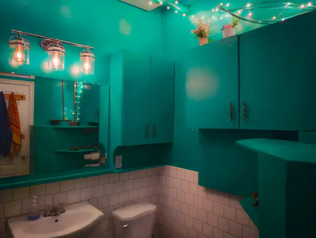 ☾༓⊹ communauté queer cherche colocs ⊹༓☽ in Room Rentals & Roommates in City of Montréal - Image 9