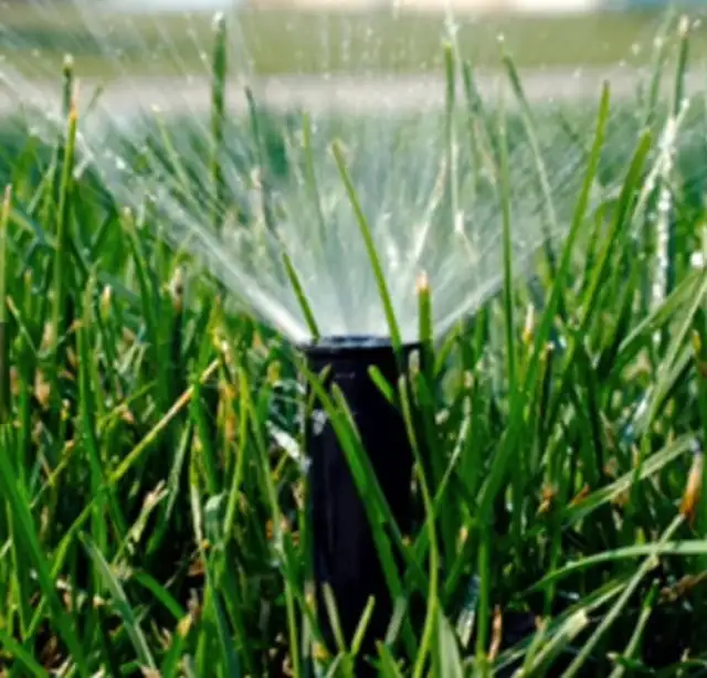 Underground Sprinkler Blowout - Only $40! 63735896178307120