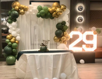 Balloon garland and background decor