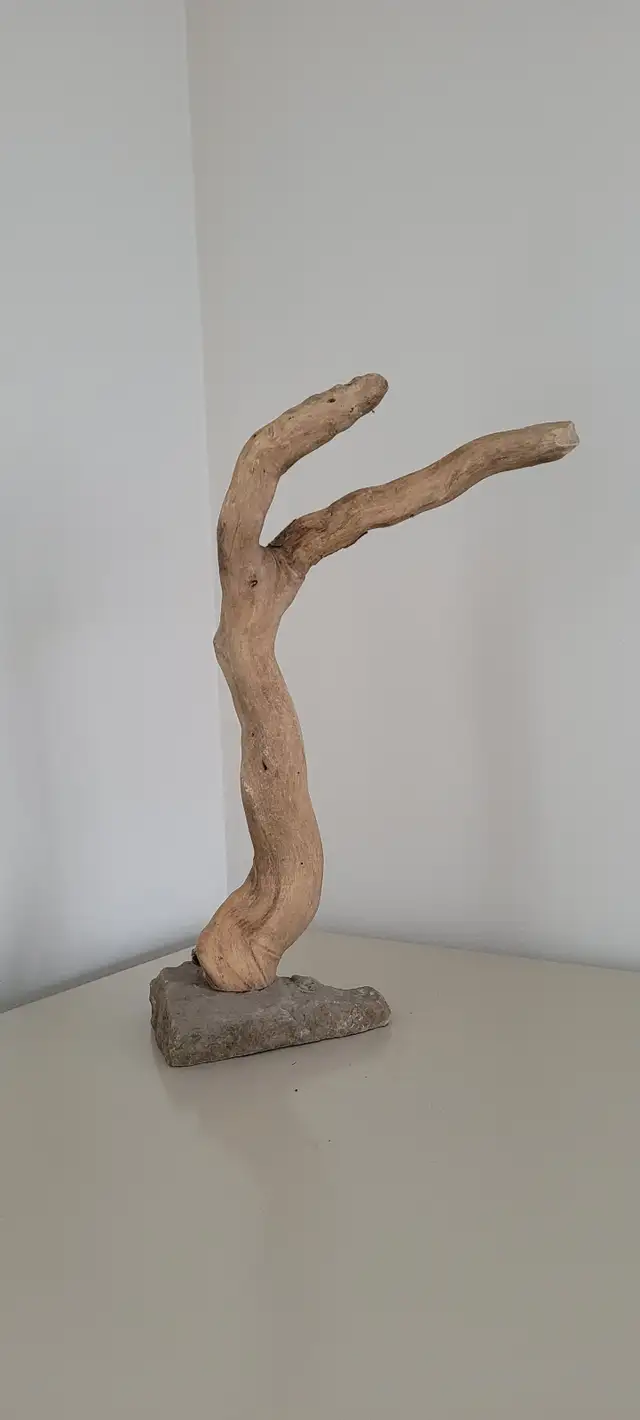 Petit Bois Flotté Accessoire sur base Aquarium Driftwood w/base in Hobbies & Crafts in Laval / North Shore - Image 9