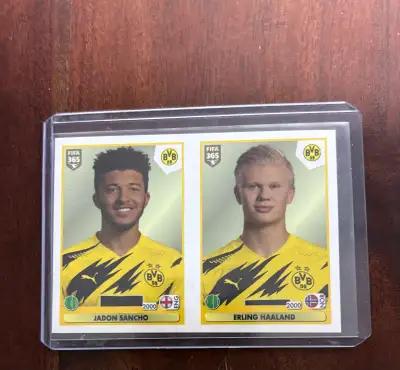 Haaland Bellingham Soccer Cards, View more