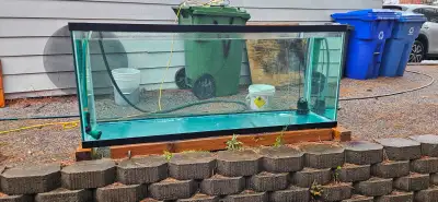 Big aquarium 225g, View more
