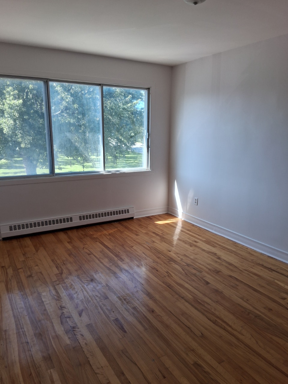 5 1/2 Apartment 4