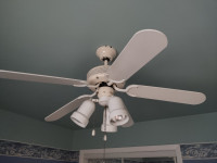 Ventilateur de plafond blanc de 38 pouces, 3 lampes, 5 pales